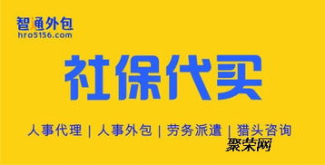 佛山智通五險(xiǎn)一金代繳代辦服務(wù) 企業(yè)高效合規(guī)的人力資源解決方案