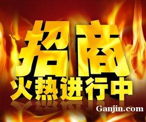 海南菩提自貿(mào)商城招商 商務(wù)代理代辦服務(wù)的機(jī)遇與價(jià)值