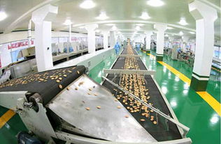 金正恩視察平壤食品廠，肯定國(guó)產(chǎn)設(shè)備與技術(shù)創(chuàng)新成果